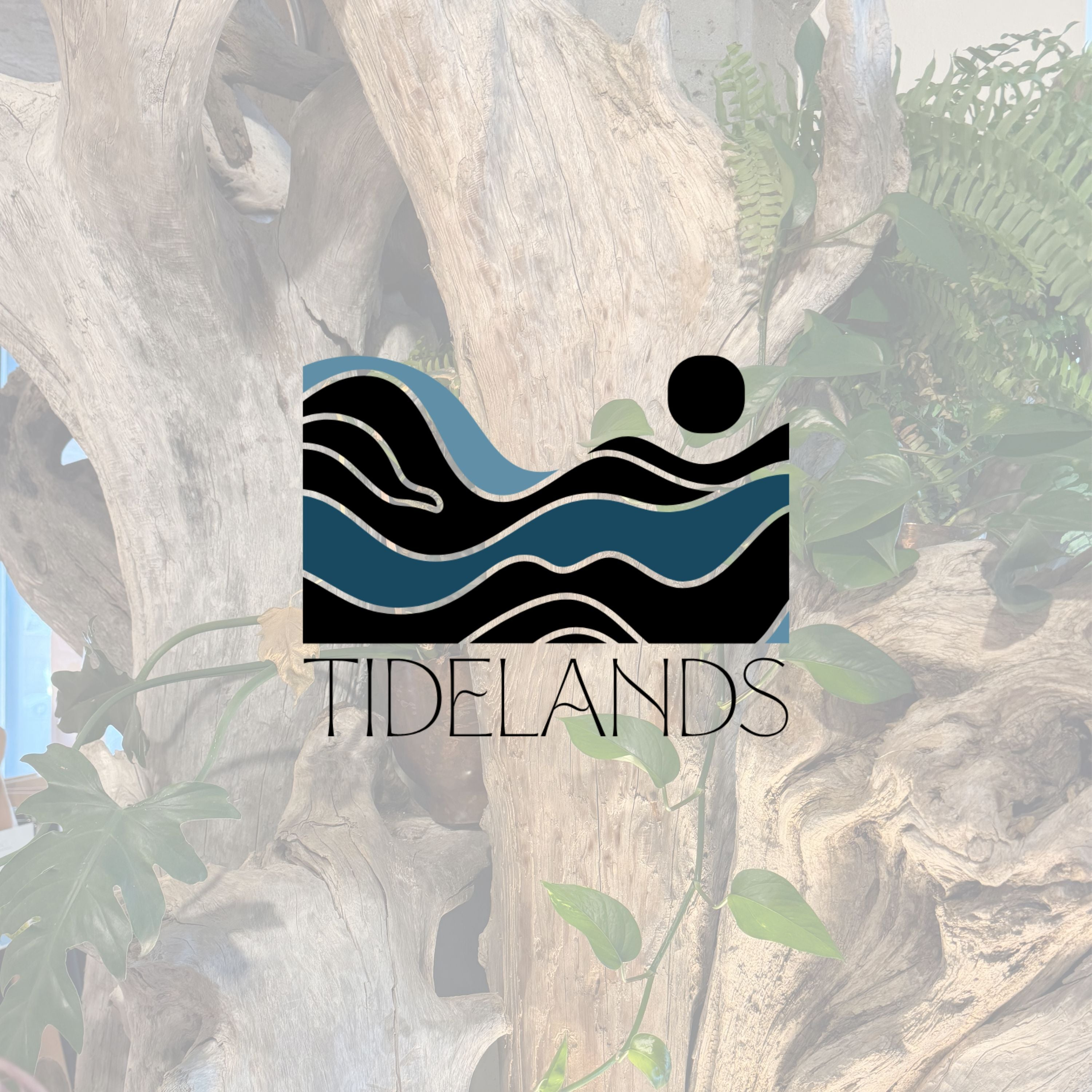 Tidelands