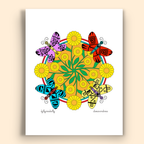 Greeting Note Cards by Fourth World Design