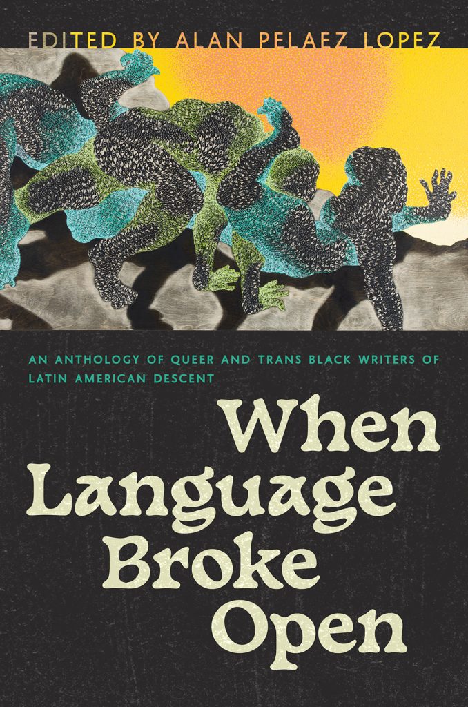 When Language Broke Open: An Anthology of Queer and Trans Black Writers of Latin American Descent Book