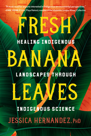 Fresh Banana Leaves: Healing Indigenous Landscapes through Indigenous Science Book by Jessica Hernandez