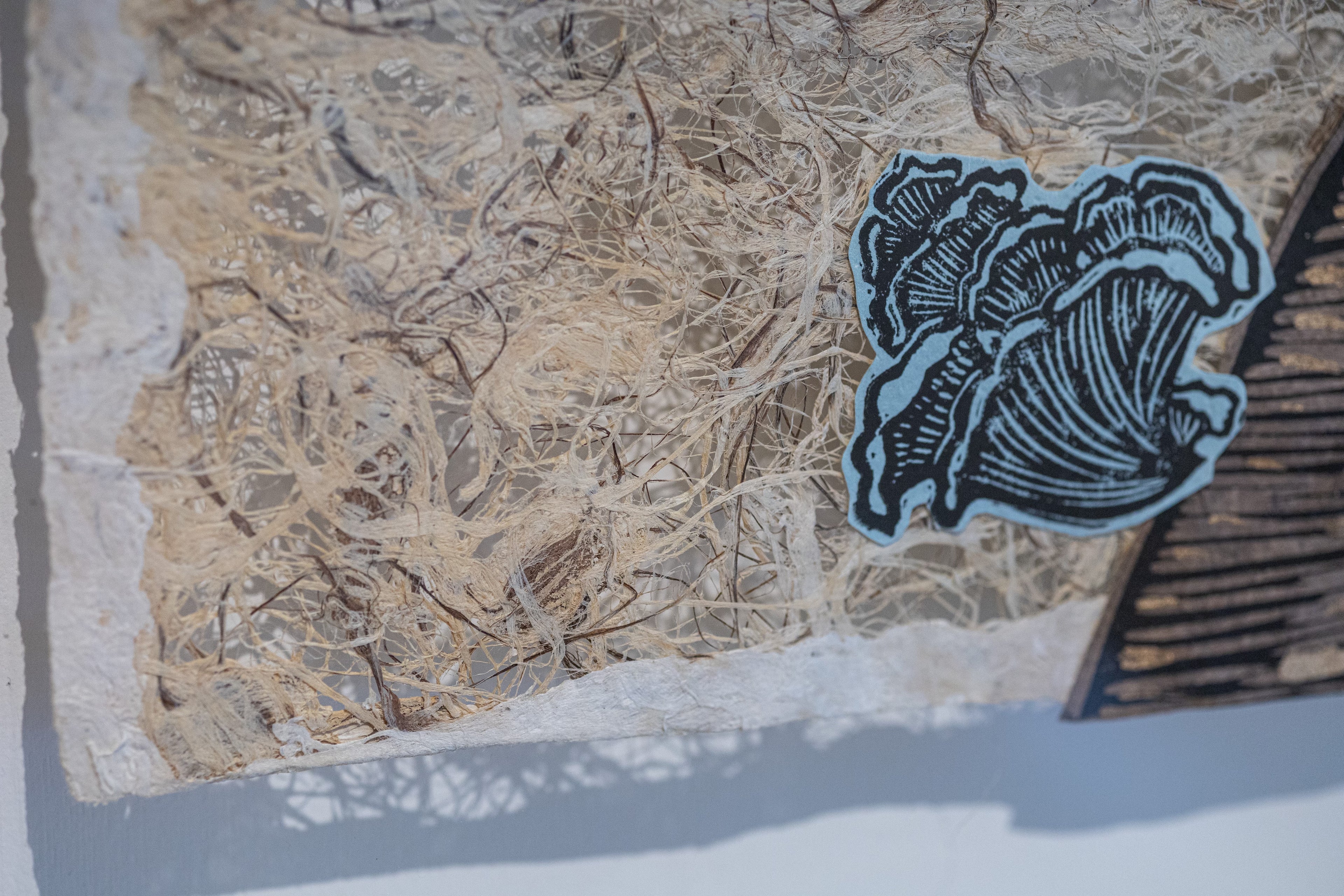 EJ | Framed Art | Ñätho Jo