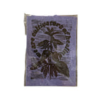 Maese | Block Print | Cultivators