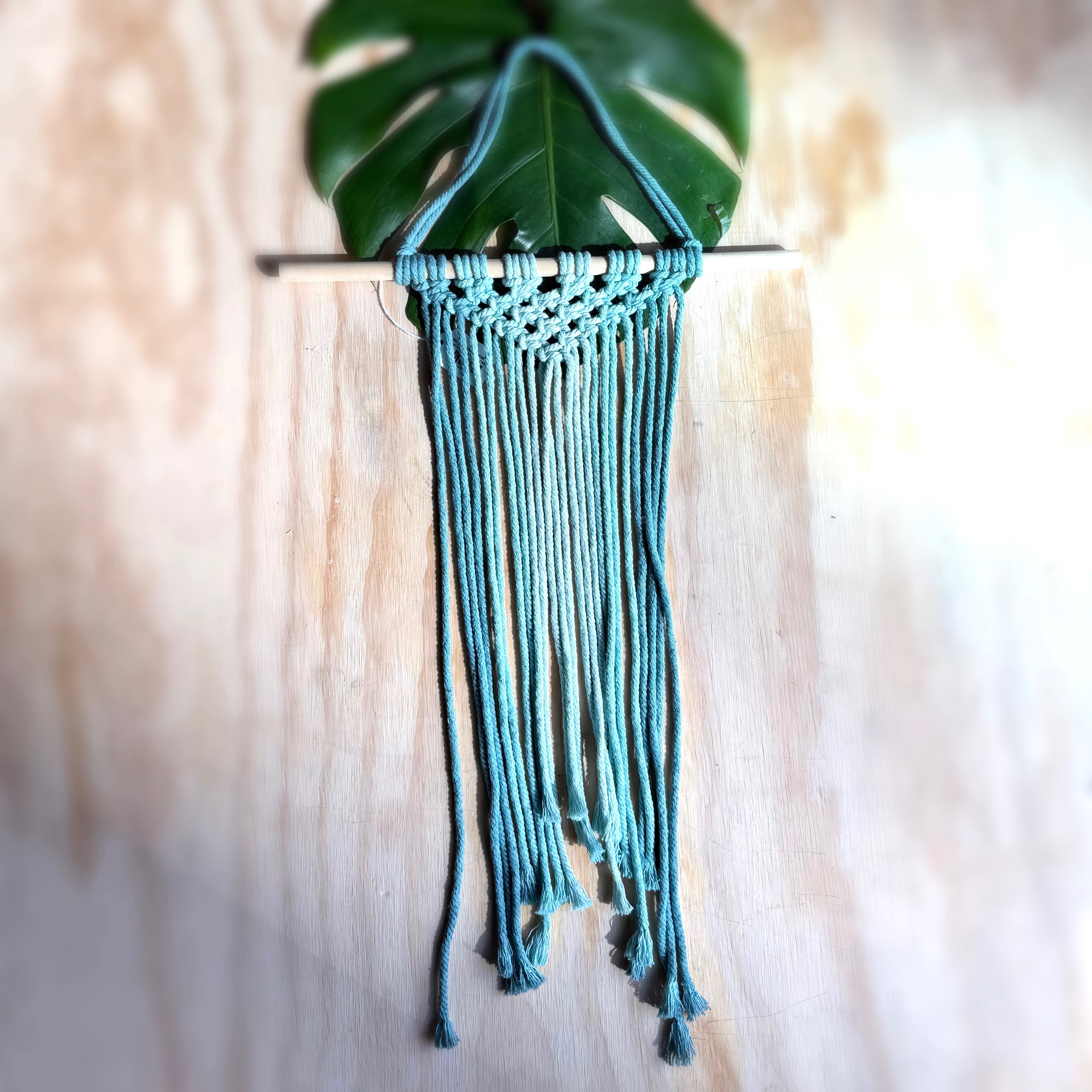HBU | Minimalist Wall Hanging | Ombre | L