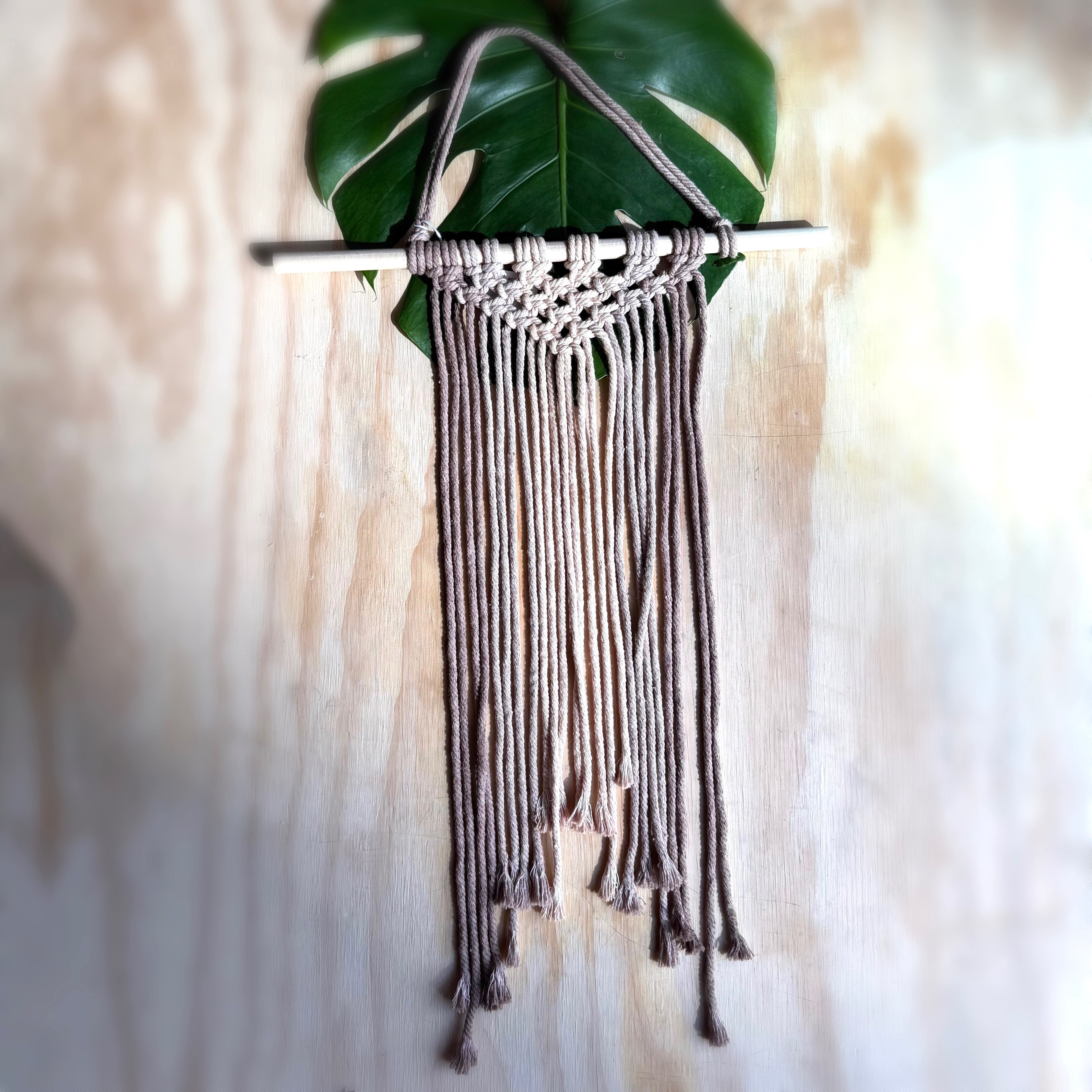 HBU | Minimalist Wall Hanging | Ombre | L