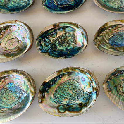 Faiza | Abalone Smudge Bowl | Med