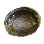 Faiza | Abalone Smudge Bowl | Med