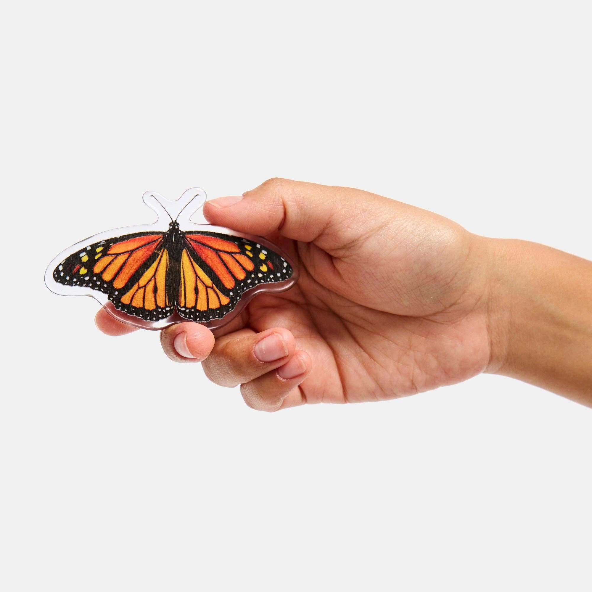 Barrette in Monarch Butterfly by CHUNKS